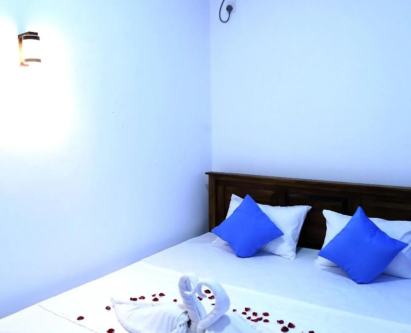 Emerald Coast Hotel Negombo Daluwekotuwa